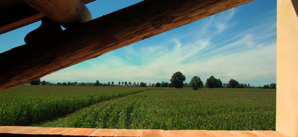 I campi di mais attorno alla cascina visti dal portico